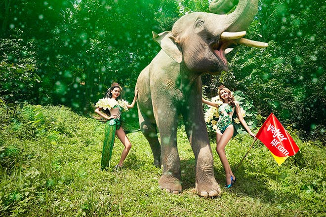 Hoa Súng trắng ẩn mình trong Khu Bảo tồn Voi Chiangmai (Thái Lan).