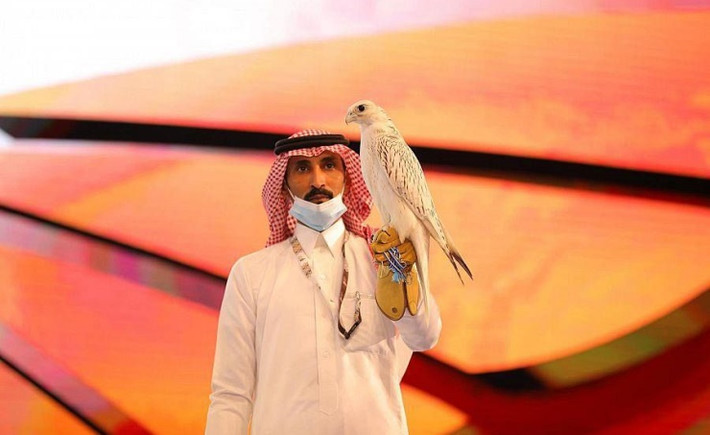 Đó là chú chim ưng Farkh Gyrfalcon Super White (dưới một tuổi) từ trang trại "Jim Wilson Falcons" của Canada. Ảnh: BNA