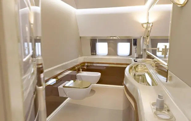 Phòng tắm trên máy bay có bệ toilet mạ vàng. Ảnh: TheSun
