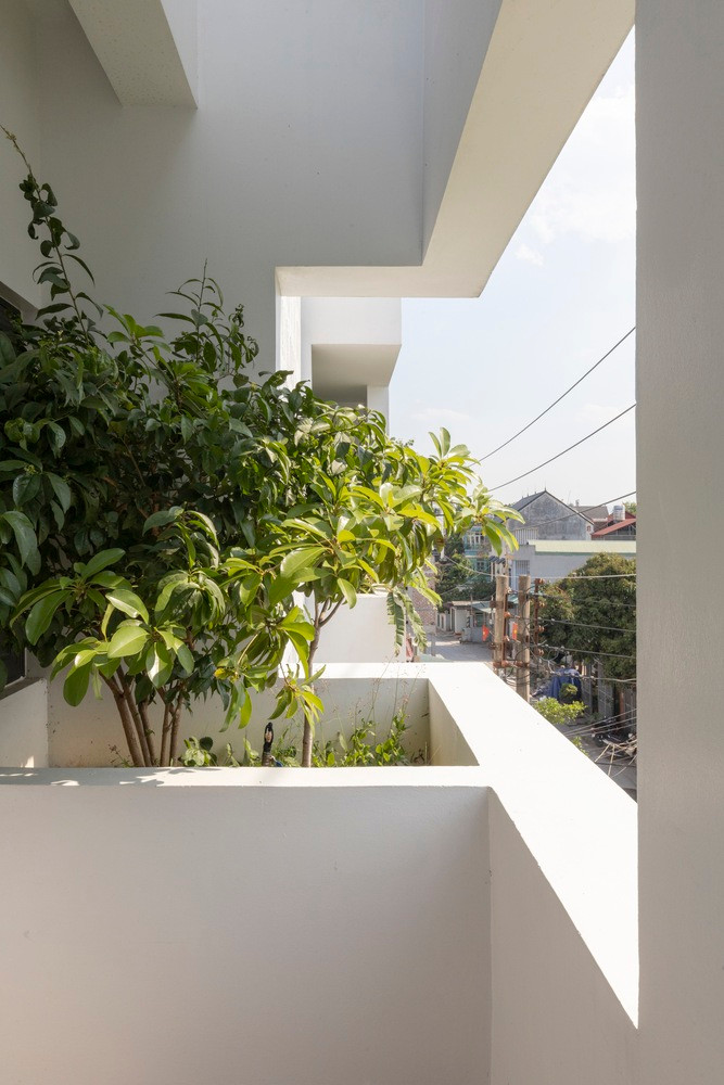 Để giảm nhiệt độ của toàn bộ căn nhà, kiến trúc sư tạo khoảng trống và trồng cây xanh ở những khu vực tiếp xúc với ánh sáng mặt trời.