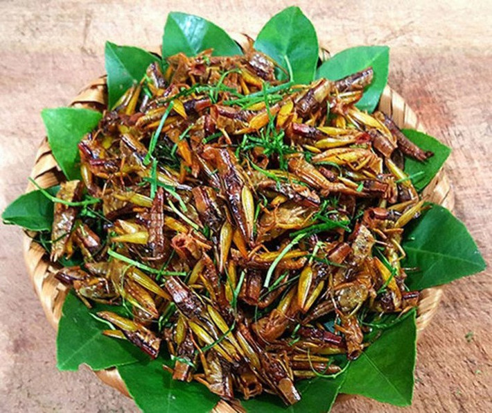 Giá muồm muỗm quá đắt nhưng vì nhớ hương vị tuổi thơ nên chị Nga chỉ dám đặt mua 2 lạng.