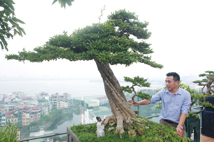 Tác phẩm mai chiếu thủy thoát thân vô cùng ấn tượng. Ảnh: Vietnamnet