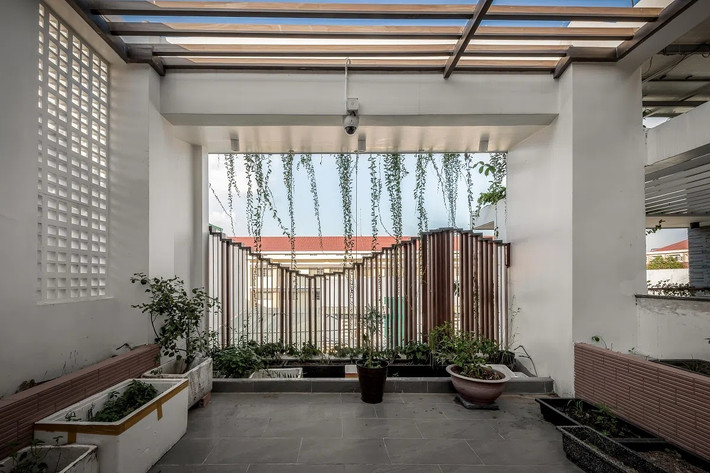 Sân thượng được tận dụng để trồng rau sạch. Nguồn ảnh: Architizer
