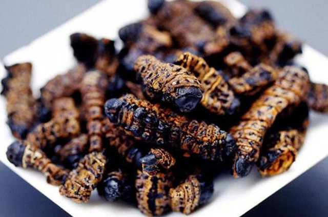 Trên Amazon, sâu Mopane sấy khô được bán với giá 0,6 USD/g. Ước tính, 1kg sâu Mopane sấy khô có giá khoảng 600 USD (tương đương 13,5 triệu đồng). Ảnh: Getty