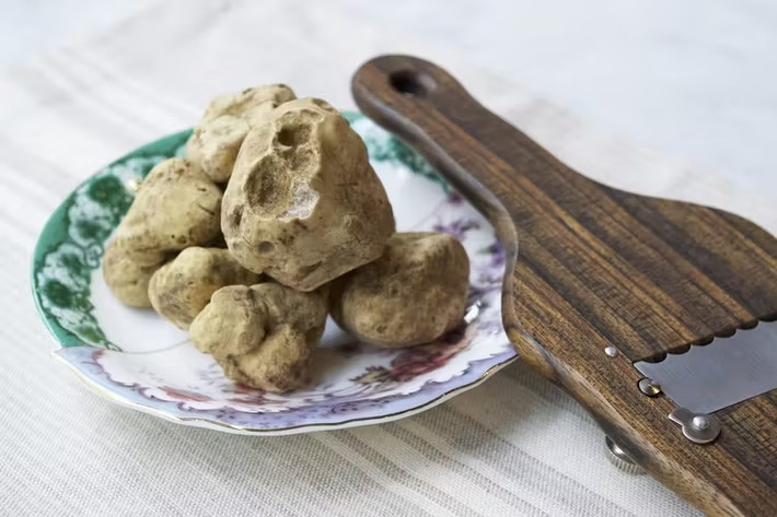 Nấm cục sống cộng sinh với một số loài cây bao gồm bạch dương, anh đào, cây phỉ, sồi, chanh dây và thông. Chúng không bao giờ có thể tồn tại trong đất nếu không có cây chủ. Nguồn ảnh: Getty, BI