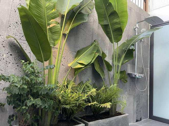 Phòng tắm ngoài trời được thiết kế vô cùng độc đáo và gần gũi với thiên nhiên. Nguồn ảnh: FBNV