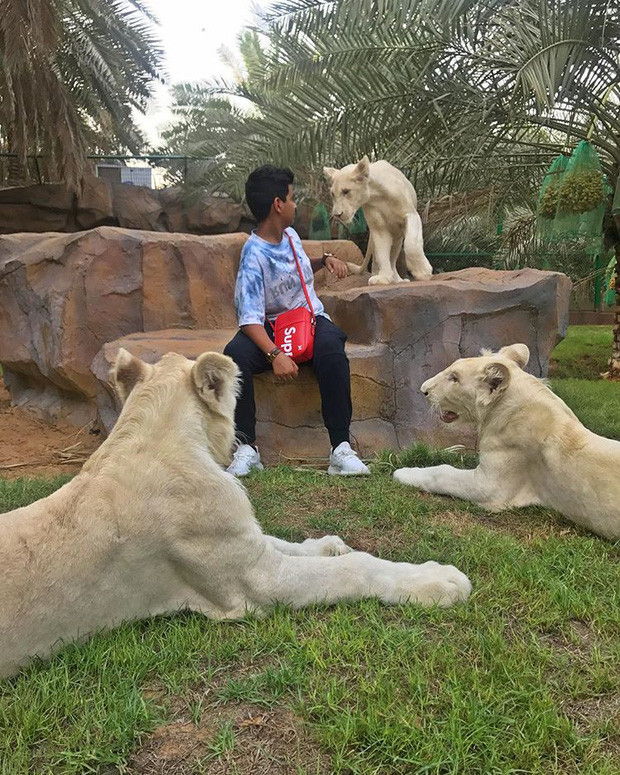 Ngoài thời trang, Rashed Belhasa còn gây “sốt” bởi độ chịu chơi khi xây hẳn một sở thú mini ngay trong biệt thự gia đình.