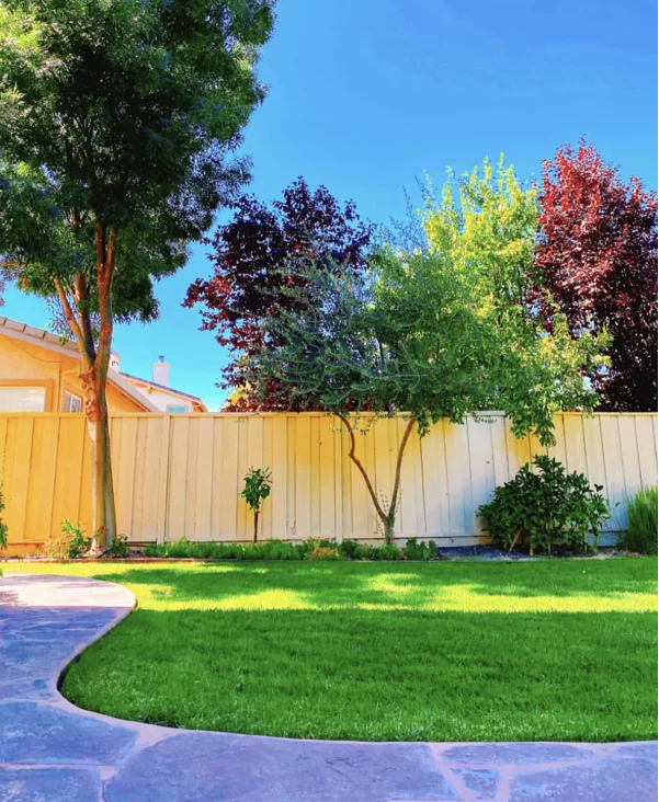 Trong căn biệt thự ở Los Angeles (Mỹ), Hoa hậu Phạm Hương dành riêng một góc cho khu vườn xanh mướt. Ảnh: Vietnamnet.