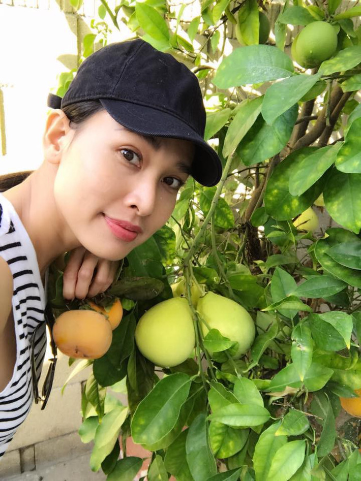 Ngoài ra, khu vườn còn rất nhiều cây ăn trái. Ảnh: Helino.