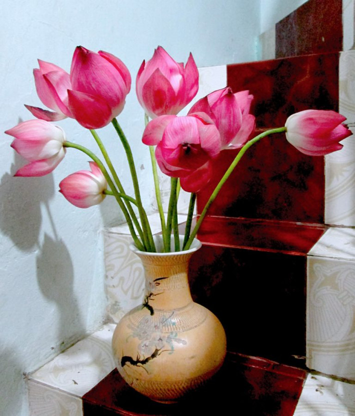 Đặt bình hoa sen tại cầu thang tạo sự phá cách trong trang trí nhà. Ảnh: Vinaflower.