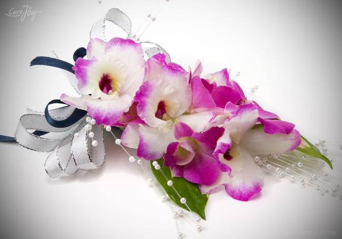 Hoa phong lan được sử dụng rộng rãi để trang trí cho nhiều sự kiện và các ngôi nhà. Hoa phong lan có nhiều màu trắng, vàng và tím. Để cây phong lan mau lớn và tươi tốt, bạn cần tưới nước, bón phân đều đặn vào mùa xuân và mùa hè và giữ cho cây khô ráo vào mùa thu và mùa đông.