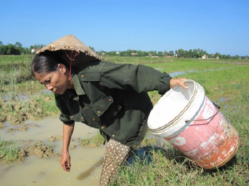 Nghề bắt cua đồng trở thành cần câu cơm không thể thiếu của người dân nhiều vùng quê Việt Nam. Ảnh: Dân Việt.