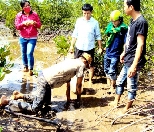 Ở những vùng gần biển, công việc bắt cua đồng không hề đơn giản. Họ phải đợi nước cạn, những lớp bùn đen trương lên mới để lộ hang cua nước lợ sâu đến nửa thân người. Ảnh: Báo Đồng Nai.