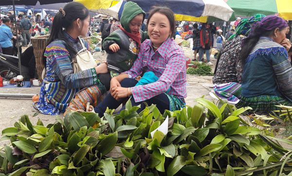 Hoa lan có thể chỉ là lý do để tới chợ phiên. Ảnh: Cao Cường.