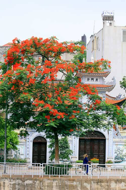 Màu đỏ trên nền trời tạo khung cảnh vô cùng khác lạ. Ảnh: Tindachieu.