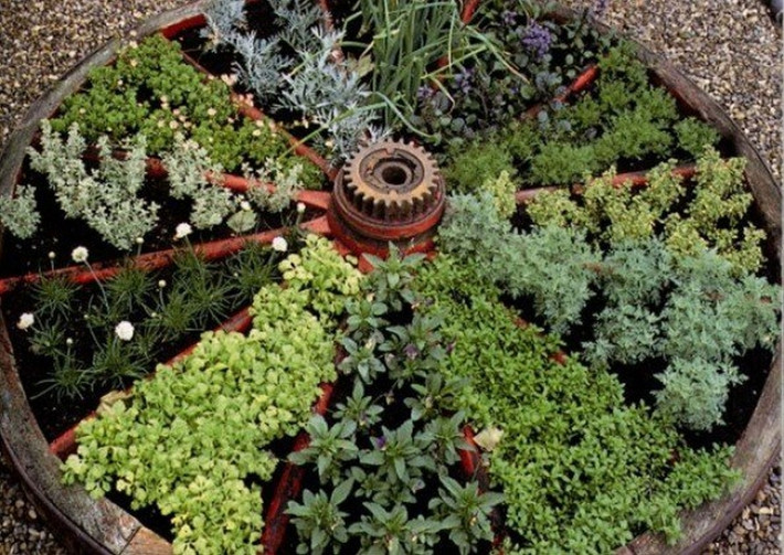 Đủ các loại rau được trồng trong bánh xe cũ. Ảnh: Garden Ideas.