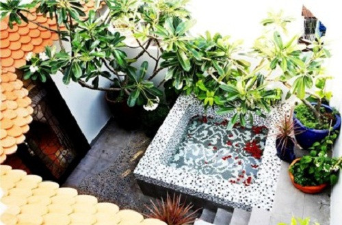 Hồ nước và góc vườn nhỏ ngay bên hiên nhà. Ảnh: Plo.