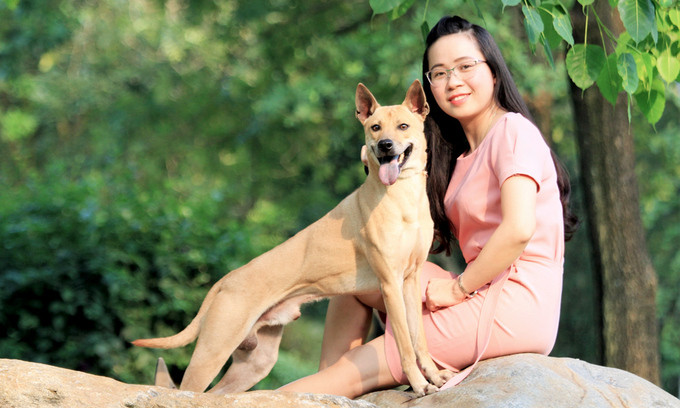 Nhờ vẻ đẹp hình thể và sự thông minh, hiểu ý chủ, một vị đại gia Sài Gòn đã hai lần trả hơn 350 triệu đồng để được sở hữu Lốc nhưng chị Hà không bán. Ảnh: Vnexpress. Video: Kinh hoàng Ngao Tây Tạng cắn bé 8 tháng tuổi. Nguồn: VTC14.