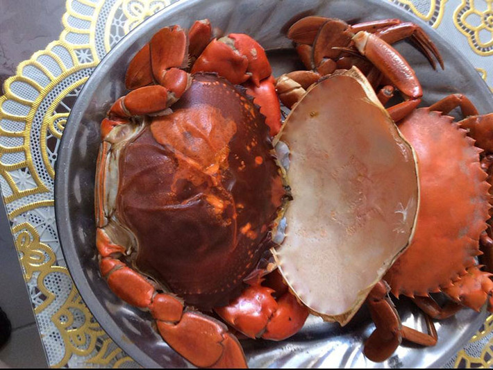 Cua cốm hay còn gọi là cua hai da được đánh giá là một trong những loại cua ngon nhất Việt Nam. Tuy nhiên, loại cua này không được bán nhiều trên thị trường vì số lượng ít và giá cao gấp đôi các loại cua khác. Ảnh: Chohaisanvanchai.