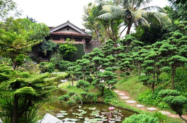 Chủ nhà chia sẻ, ông có đam mê và sưu tầm cây cảnh, vì vậy sau mỗi chuyến đi khắp khắp mọi miền Tổ quốc ông đều đem về một loại cây và chăm bón chúng tươi tốt, tô lên vẻ đẹp cho ngôi nhà. (Ảnh: Người lao động)