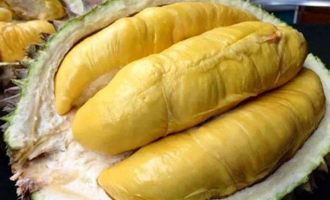 Đặc biệt, những quả sầu riêng già và bắt đầu chín thường có vỏ ngoài hơi nứt, mùi thơm đặc trưng.