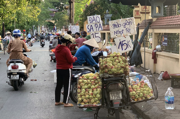 Theo chị Duyên, chị không chuyên bán đào mà bán cùng một số hoa quả khác nên 40kg đào/ngày là ít hơn nhiều so với mấy cô bán xe thồ ngoài đường. Các cô ấy có ngày bán được gần 1 tạ đào. Ảnh: Vietnamnet.