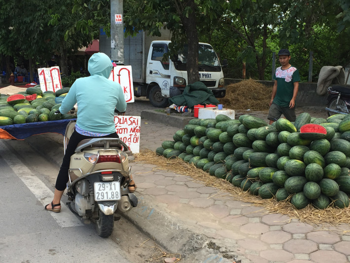 Dọc nhiều tuyến đường như Láng, đại lộ Thăng Long, Nguyễn Xiển, Xa La,... không khó để bắt gặp hình ảnh các sạp hàng hoa quả giá rẻ bày bán bên lề đường.