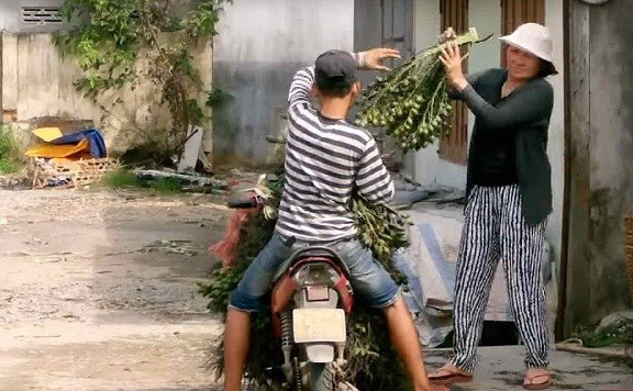 Giá cao nên người dân ồ dạt gom đi bán. Nhiều người đổ xô đến từng ngôi làng để lùng mua, thậm chí mua cả vườn cau với giá thỏa thuận. Ảnh: Tuoitre.