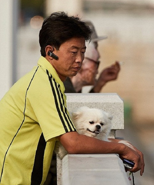 Một người đàn ông sành điệu đi dạo cùng cún cưng vừa nghe dùng tai nghe bluetooth. Ảnh: Christian Petersen.