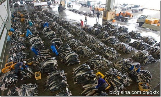 Xưởng sản xuất bắt đầu làm việc từ 5 giờ sáng.