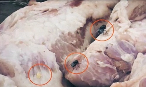 Theo các chuyên gia, thịt lợn đông lạnh ôi thiu này chính là một trong những nguyên nhân dẫn tới ngộ độc thực phẩm tập thể ngày càng cao ở Việt Nam. Nguồn ảnh: Cắt từ video của ANTV.