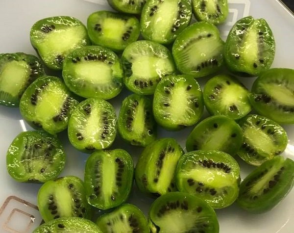 Dù có giá bán hơn 1 triệu đồng/kg nhưng kiwi tí hon vẫn luôn trong tình trạng cháy hàng. Ảnh: Vietnamnet.