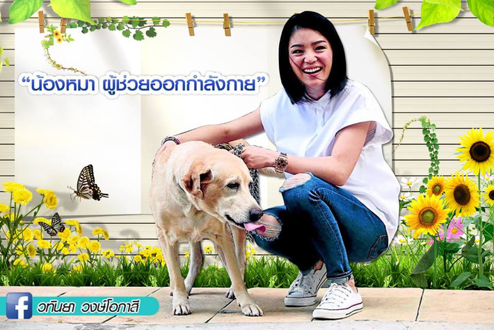 Giải Thai.League ngày càng thu hút các ông bầu đổ tiền vào bóng đá cũng như các ngôi sao chất lượng ở nước ngoài về thi đấu.
