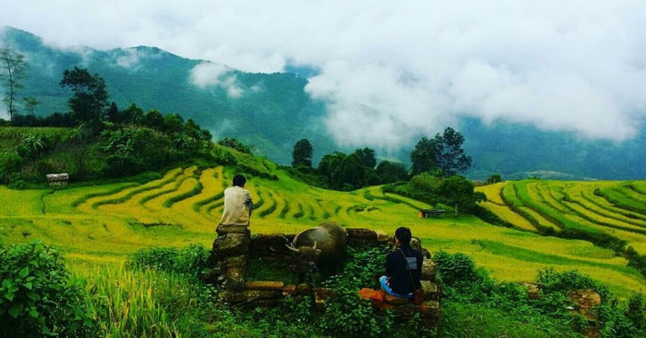 Những “sân mây” khổng lồ của chốn đại ngàn. Mây len lỏi qua các thung lũng, mây xếp tầng xếp lớp bao khủ khắp bản làng, mây lãng đãng trên những ruộng bậc thang và con đường quanh co dốc. Ảnh: haphuongtom
