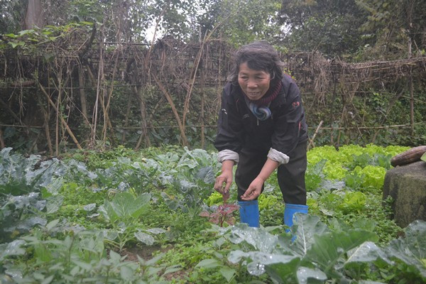 Cuộc sống giữa ốc đảo khiến cho hai người phụ nữ quên lấy chồng. Họ không muốn rời đảo, nơi đã sinh ra mình.