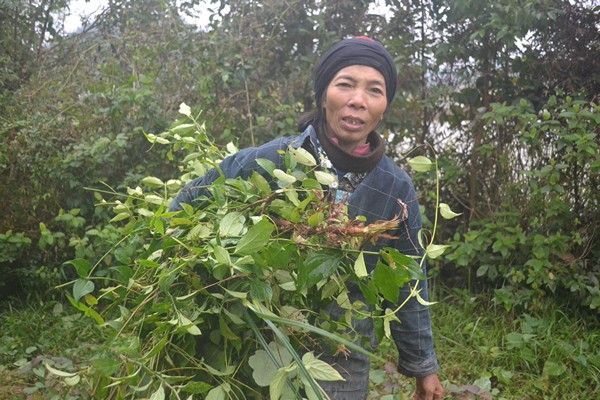 Nhưng quan trọng hơn hết, đó là không khí trong lành, thoải mái, yên tĩnh và gần gũi với thiên nhiên giữa nơi rừng núi hoang dã.