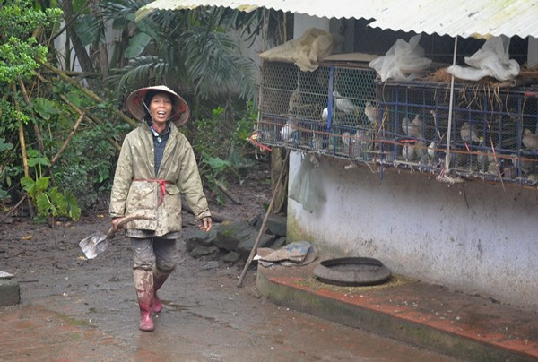 Cô Ngọc cho biết: “Gia đình cô sống ở đảo này từ năm 1948. Lúc đó ông cụ sinh ra cô quê gốc Thanh Hoá làm thầy lang. Sau khi được người nhà bệnh nhân mời đến chữa bệnh, thấy ở đây thuận lợi cho việc sinh sống và hành nghề, nên cụ ông đã định cư. Do thực dân Pháp vào làng càn quét, nên hai cụ đã mua đảo này để ở. Đảo có diện tích 2,2 mẫu và cũng là nơi 7 anh em nhà cô sinh ra ở đây. Hiện nay 5 anh em đã sinh sống ở nơi khác, chỉ còn hai chị em không lấy chồng nương tựa vào nhau".