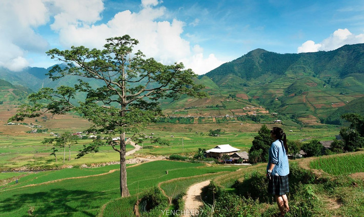 Buổi sáng tinh mơ, chạy xe lang thang vào bản Lìm Mông, xuống thung lũng ngắm bình minh, dưới bầu trời xanh và nắng nhẹ buổi sáng sẽ dễ khiến bạn buông thư và chìm đắm trong không gian tràn ngập màu sắc này.