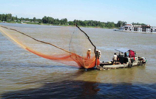 Thế nhưng, do lũ về muộn và nhỏ làm nguồn thủy sản thiên nhiên ban tặng không còn nhiều, kéo theo đó là cuộc sống người dân hết sức khó khăn”.