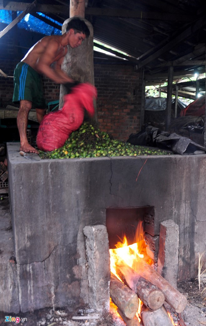 Theo ông Phạm Hồng Đạo, Trưởng phòng Nông nghiệp huyện Sơn Tây, nếu như năm 2010 toàn huyện có 1.400 ha cau thì đến năm nay chỉ còn 1.100 ha. Do giá cả bấp bênh nên người dân nơi đây phá bỏ để trồng cây keo. Nhiều hộ dân trót chặt phá bỏ, giờ đây họ luyến tiếc vì giá cau trái đang tăng đột biến.