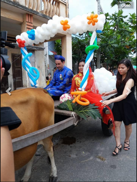 Theo thông tin lan truyền, đám cưới đặc biệt này diễn ra thị xã La Gi - tỉnh Bình Thuận giữa chàng rể người Thụy Điển và cô dâu Việt. Điểm đáng chú ý nhất trong đám cưới đặc biệt trên đó là màn cưỡi xe bò đi đón dâu, bởi nó chỉ xuất hiện trong những đám cưới xưa tại các vùng quê Việt Nam.