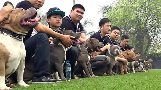 Chó được biết đến như một loài vật trung thành, với nhiều người thì chúng như một người bạn sẵn sàng hy sinh, lăn xả để bảo vệ chủ nhân. Thế nhưng mới đây, nhiều bạn trẻ đã lợi dụng đặc tính tốt này của loài chó để biến chúng thành trò giải trí trong thú vui chọi chó đẫm máu.