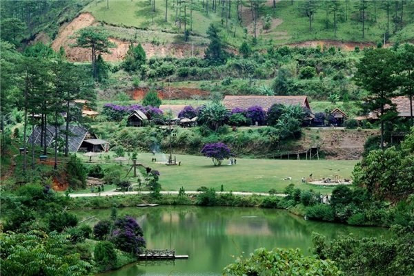 Khi trời dần sang thu vào tháng 9, làng Cù Lần dường như được khoác lên mình một bộ cánh màu tím thủy chung của những bông hoa Pơ Ra Nhằng xinh đẹp.