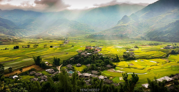 Nụ cười trong veo mùa cấy lúa.