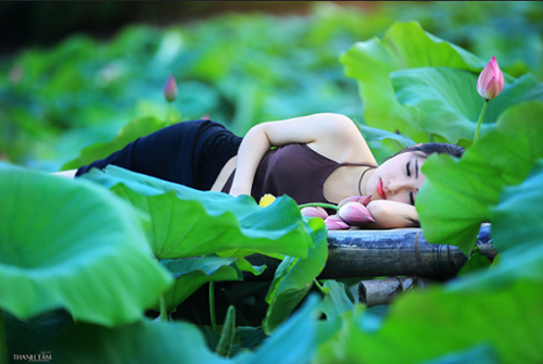 Minh Hồng cũng cho biết thêm, năm ngoái vì những lý do cá nhân nên cô nàng đã bỏ lỡ ngày sen nở đẹp nhất. Điều này khiến cô nàng sinh năm 1995 này tiếc hùi hụi. Chính vì vậy, năm nay cô quyết tâm thực hiện để lưu giữ tuổi thanh xuân của bản thân trong những bức ảnh.