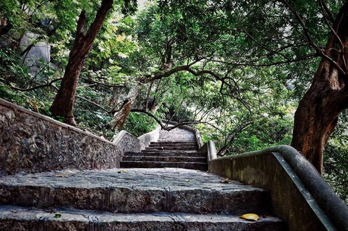 Bậc thang dẫn tới chùa Am Tiên nơi Thái Hậu Dương Vân Nga từng tu hành. Nơi đây được bao phủ bởi cây xanh, quanh năm mát mẻ.