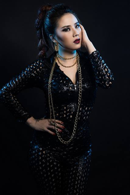 Ngoài việc làm mẫu chụp ảnh, Phương Vy từng dấn thân vào con đường nghệ thuật như ca sĩ tự do hay diễn viên.