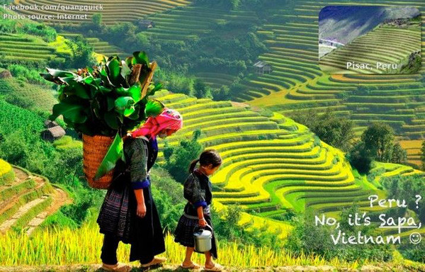 Quang Quick hiện đang là sinh viên trường Đại học Bách Khoa Hà Nội. Với đam mê nhiếp ảnh, chàng trai này đã đi đến rất nhiều địa điểm nổi tiếng tại Việt Nam để thực hiện những bức ảnh để đời.