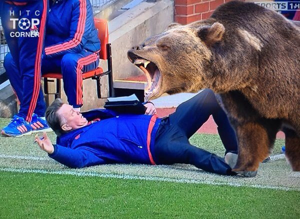 Sự sợ hãi của Van Gaal trước con gấu xám to lớn.