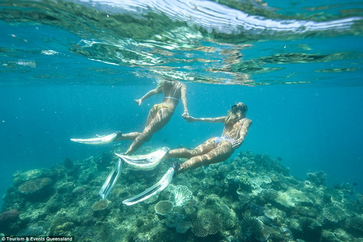 Lauren Bullen, 22 tuổi, cùng em gái sinh đôi Ellie chụp ảnh lặn dưới biển ở bang Queensland, Australia. Ảnh: Instagram/Dailymail.